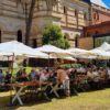 Outdoor dining setup with white umbrellas and wooden tables on the lawn of the South Australian Museum in Adelaide – premium party hire by Australian Hiring Company.
